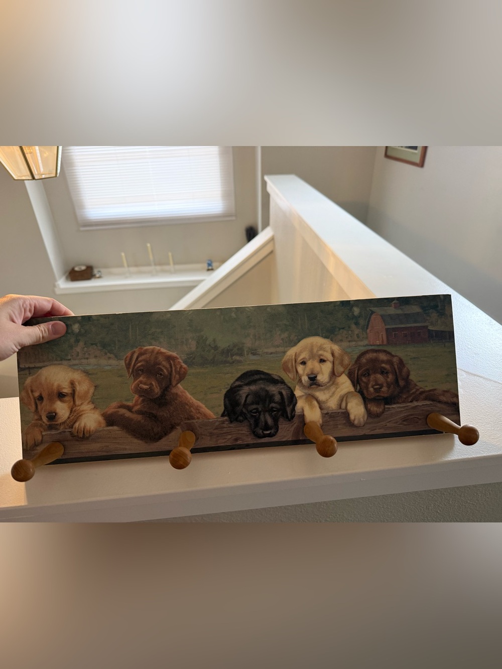 Wooden Labrador Puppy Hook Rack in- Decorative Dog Wall Hanger- Art - Picture 2 of 2